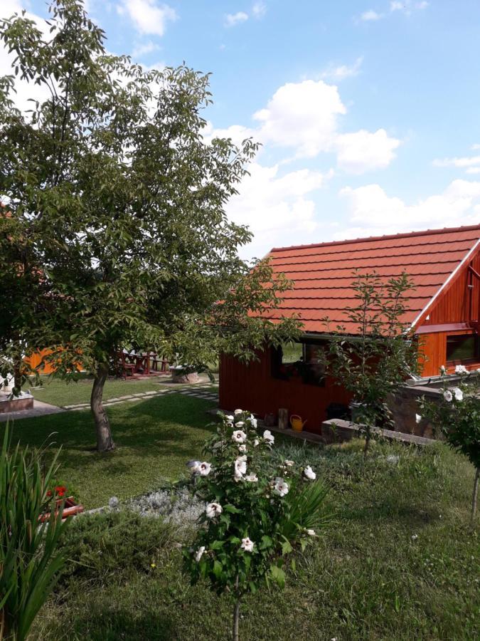 Matyas Apartman Tard Εξωτερικό φωτογραφία